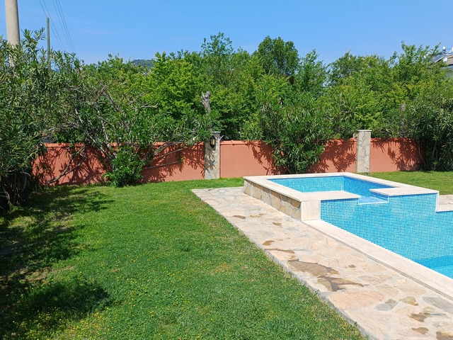 Photo of garden taken in April 2025