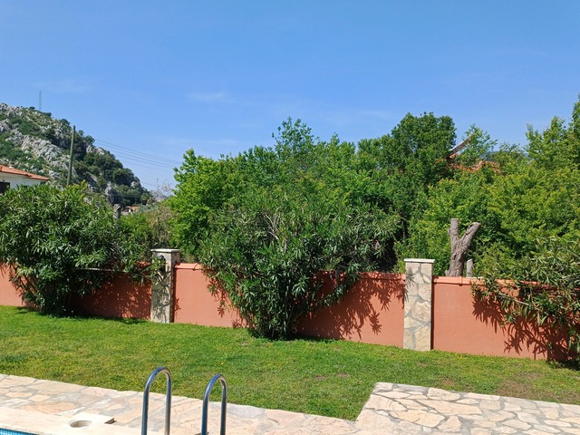 Photo of garden taken in April 2025